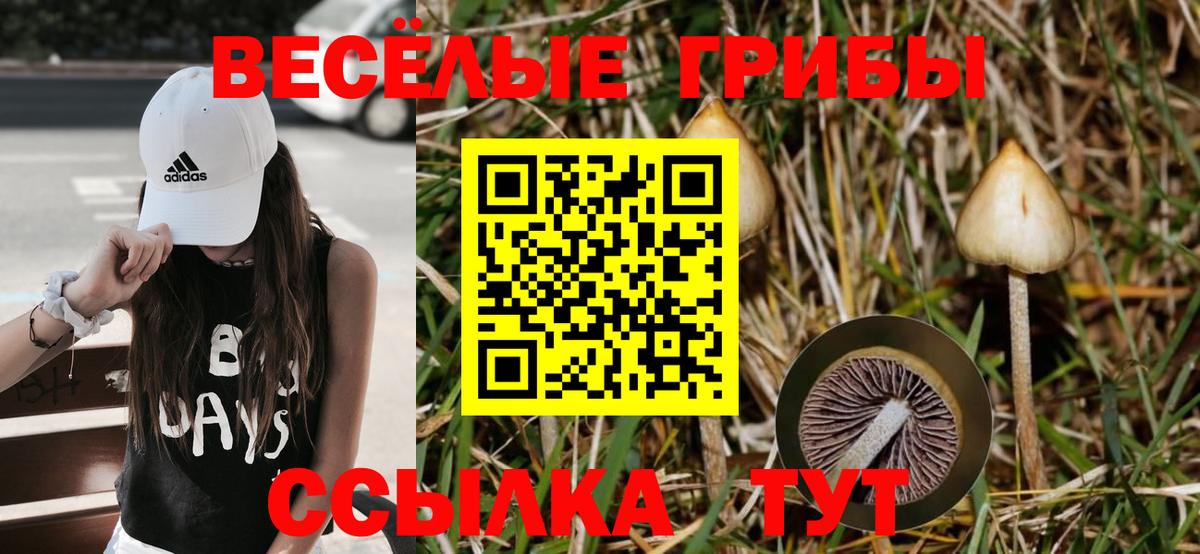 Псилоцибиновые грибы мухоморы  Вход с VPN  Псилоцибиновые грибы MAGIC MUSHROOMS  Россия 