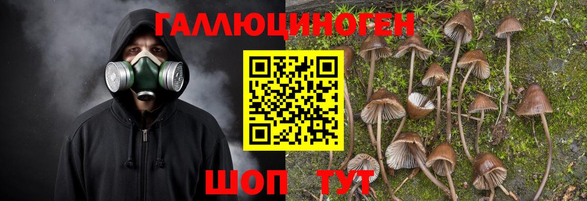 Псилоцибиновые грибы прущие грибы Россия